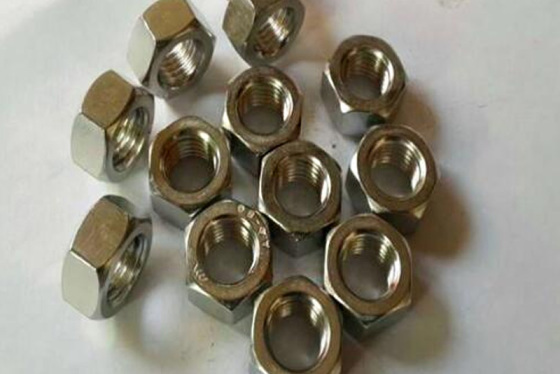 Incoloy825 Nut Nut